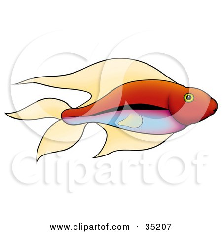 Clipart Illustration of a Pretty Red Fish With Green Eyes And A Gradient Blue And Purple Belly by dero