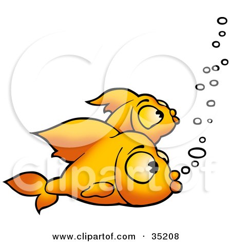 Clipart Illustration of Two Bored Goldfish Swimming With Bubbles by dero
