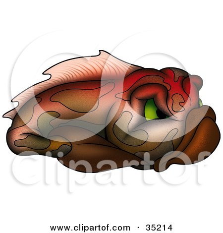 Clipart Illustration of a Gradient Red, Green And Brown Fish With Mean Green Eyes by dero