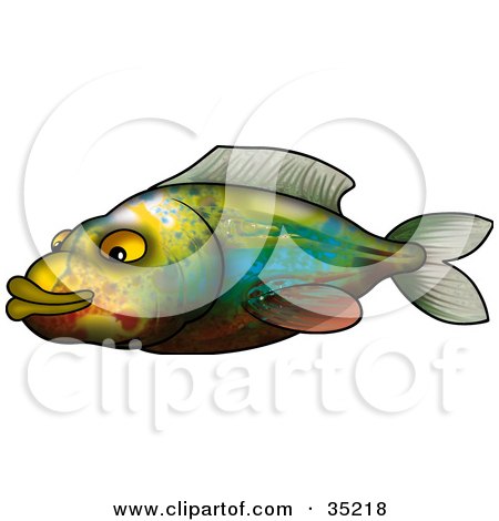 Clipart Illustration of a Colorful Green, Blue, Brown, Red And Yellow Fish Swimming Left by dero