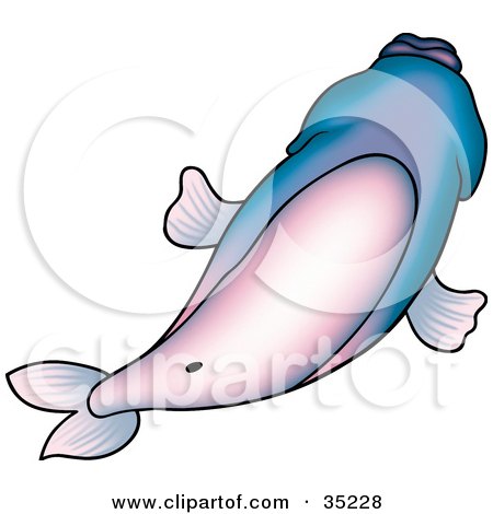 Clipart Illustration of a Purple And Blue Fish Showing Is Gradient Belly by dero