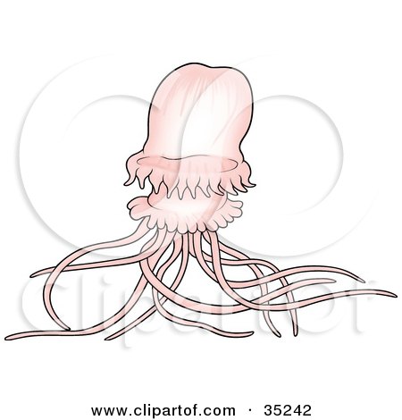 Clipart Illustration of a Pretty Pink Jellyfish With Waving Tentacles by dero