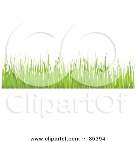 Clipart Illustration of a Border Of Yellowish Blades Of Grass by KJ Pargeter
