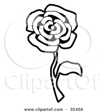 Clipart Illustration of a Black And White Single Rose by C Charley-Franzwa
