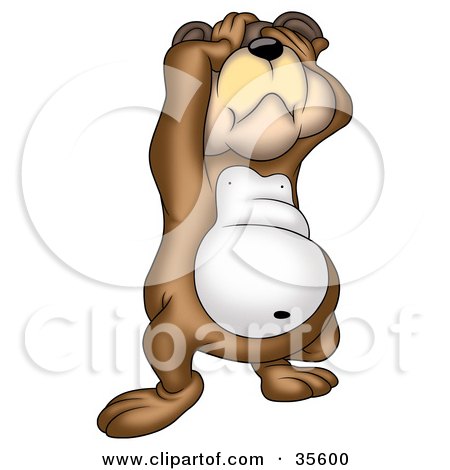 Clipart Illustration of a Frustrated Bear Slapping His Hands Over His Eyes And Tilting His Head Back by dero