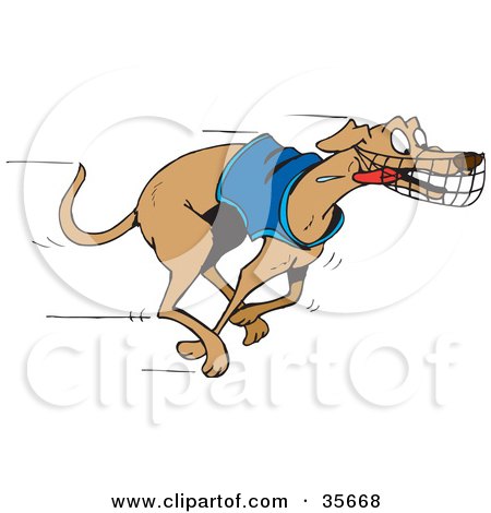 Clipart Illustration of an Energetic And Fast Greyhound Dog In A Shirt, Running With His Tongue Hanging Out During A Race by Dennis Holmes Designs