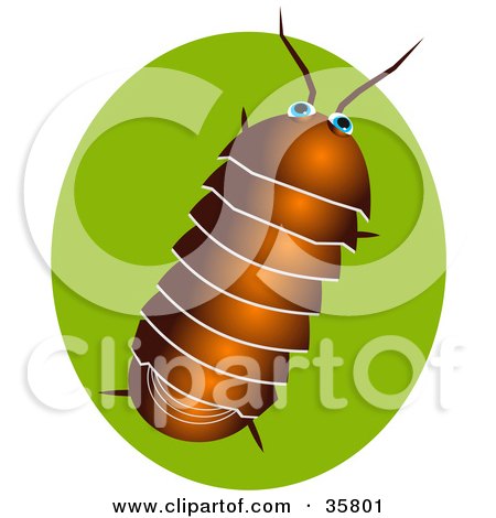 Clipart Illustration of a Brown Pillbug Or Roly Poly Bug Over A Green Circle by Prawny