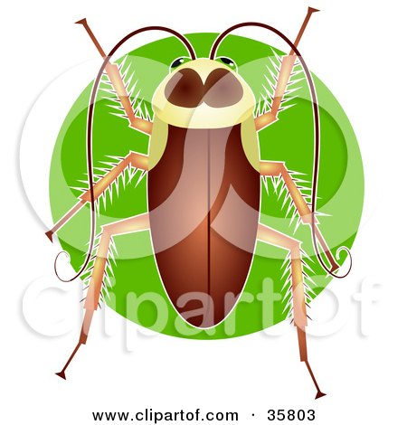 Clipart Illustration of a Brown Cockroach (Periplaneta Americana) Over A Green Circle by Prawny