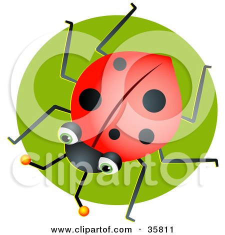 Clipart Illustration of a Green Eyed Ladybug Over A Green Circle by Prawny
