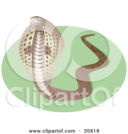 Clipart Illustration of a Defensive Brown Cobra Snake Showing Its Hood by Prawny
