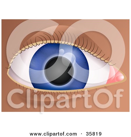 Clipart Illustration of a Closeup Of A Blue Human Eye With Curled Eyelashes by Prawny