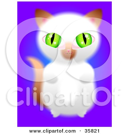 Clipart Illustration of a Cute Green Eyed Brown And White Kitten Sitting Up On Its Hind Legs And Begging by Prawny