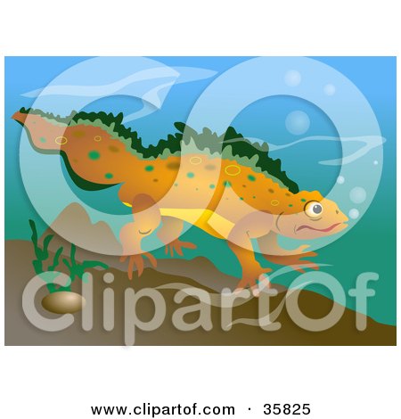 Clipart Illustration of a Happy Orange And Green Spotted Newt Swimming Underwater by Prawny