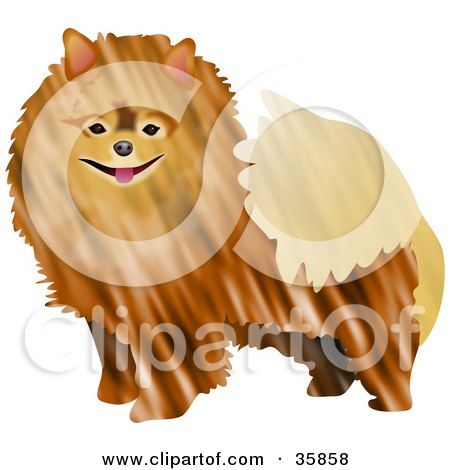 Clipart Illustration of a Friendly Brown Pomeranian Dog by Prawny