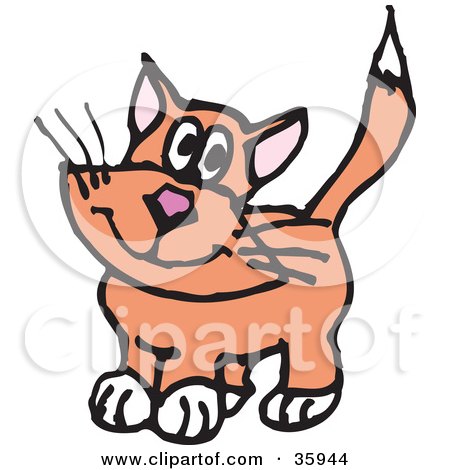 Clipart Illustration of an Innocent Orange Cat With White Paws by Dennis Holmes Designs