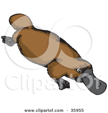 Clipart Illustration of a Brown Platypus With A Gray Bill by Dennis Holmes Designs