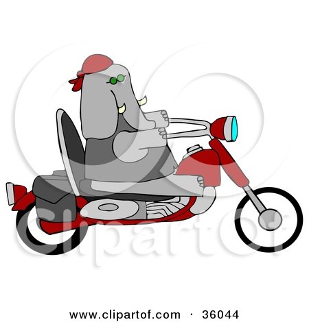 Clipart Illustration of a Cool Elephant Biker Riding A Red Motorcycle by djart