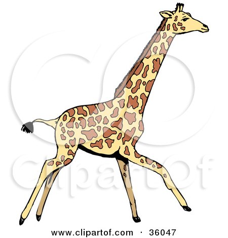 Clipart Illustration of a Walking Giraffe In Profile, Going To The Right by Dennis Holmes Designs