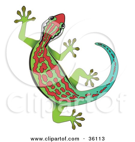 Clipart Illustration of a Gradient Green And Blue Gecko With Red Markings by Frog974