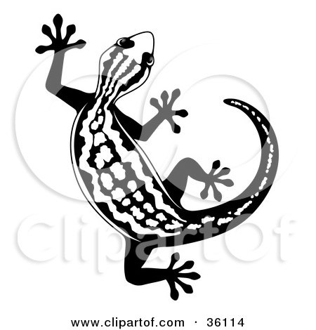 Clipart Illustration of a Black And White Curved Gecko by Frog974