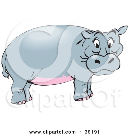 Clipart Illustration of a Pink Bellied Hippo Standing In Profile by Dennis Holmes Designs