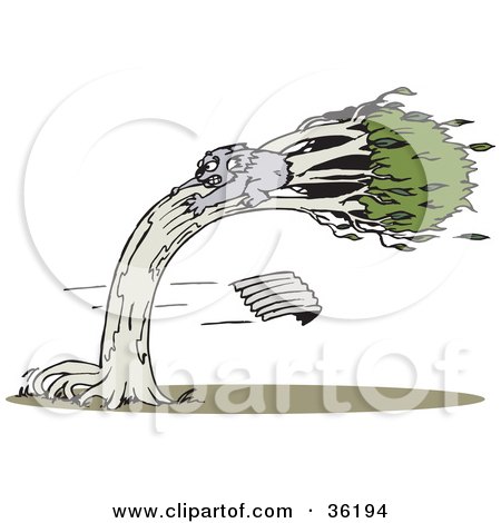 Clipart Illustration of a Koala Clinging To A Tree During A Wind Storm by Dennis Holmes Designs