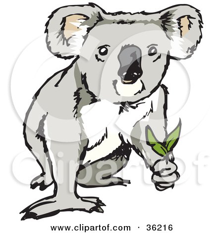 Clipart Illustration of a Koala Looking Up And Holding Eucalyptus Leaves by Dennis Holmes Designs