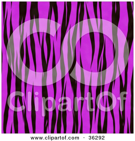Clipart Illustration of a Pink Tiger Stripe Fur Pattern Background by KJ Pargeter