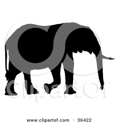Clipart Illustration of a Profiled Black Silhouetted Adult Elephant Walking Right by dero