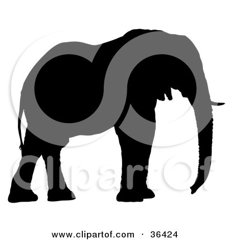 Clipart Illustration of a Black Silhouetted Adult Elephant Profiled Right by dero