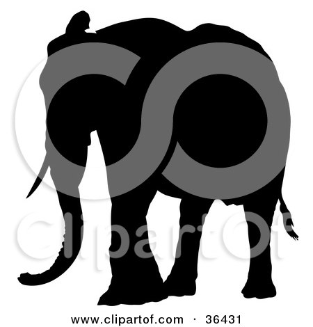 Clipart Illustration of a Black Silhouetted Adult Elephant With One Ear Lifted by dero
