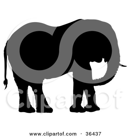 Clipart Illustration of a Black Silhouetted Adult Elephant Facing Right by dero