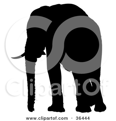 Clipart Illustration of a Black Silhouetted Adult Elephant With Tusks by dero