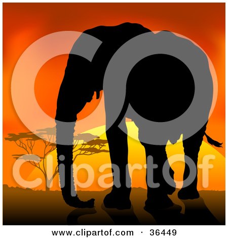 Clipart Illustration of a Black Silhouetted Adult Elephant Silhouetted Against An African Sunset by dero