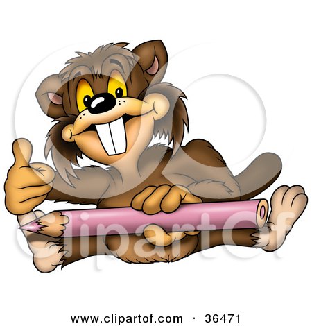 Clipart Illustration of a Coloring Beaver Giving The Thumbs Up And Holding A Purple Pencil by dero