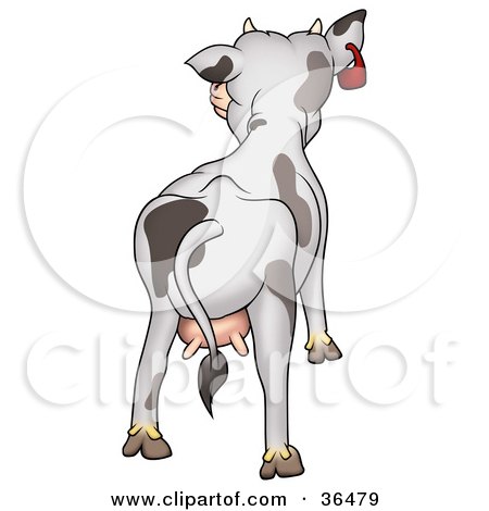 Clipart Illustration of a Dairy Cow With Udders, Facing Away by dero