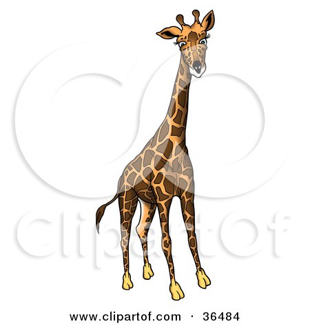 Clipart Illustration of a Tall Giraffe With Dark Markings by dero