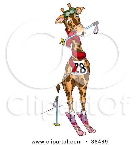 Clipart Illustration of a Professional Skiing Giraffe by dero