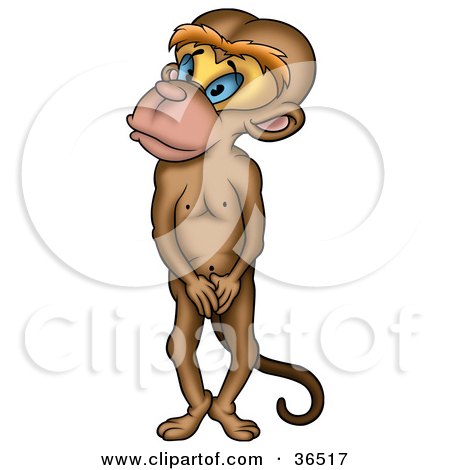Clipart Illustration of a Shy Brown Monkey Standing Up And Covering His Privates by dero