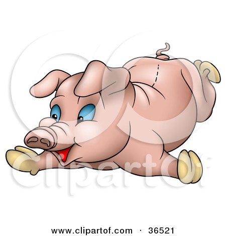 Clipart Illustration of a Clumsy Blue Eyed Pig Falling Flat On Its Belly by dero