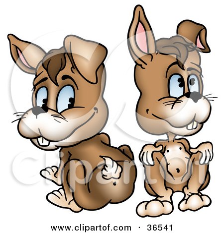 Clipart Illustration of Two Playful Rabbits, One Facing Forward, The Other Showing His Tail by dero