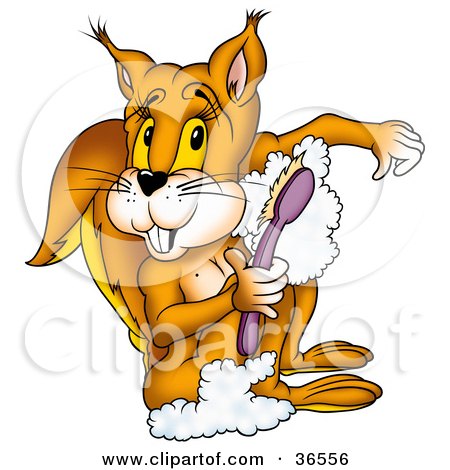 Clipart Illustration of a Clean Orange Squirrel Using A Scrub Brush And Soap In The Shower by dero