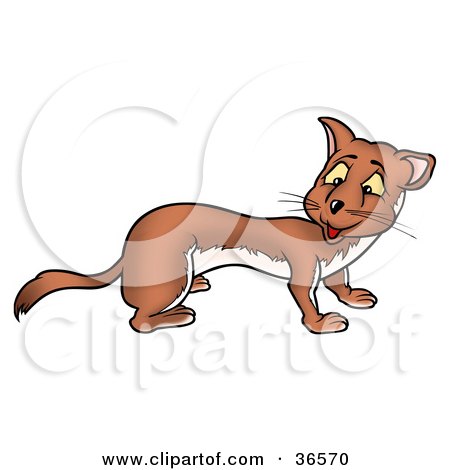 Clipart Illustration of a Friendly Brown Weasel Looking Back Over His Shoulder by dero