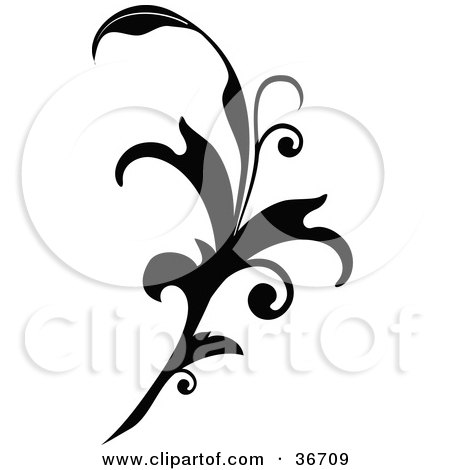 Clipart Illustration of a Black Silhouetted Elegant Leafy Scroll Design by OnFocusMedia