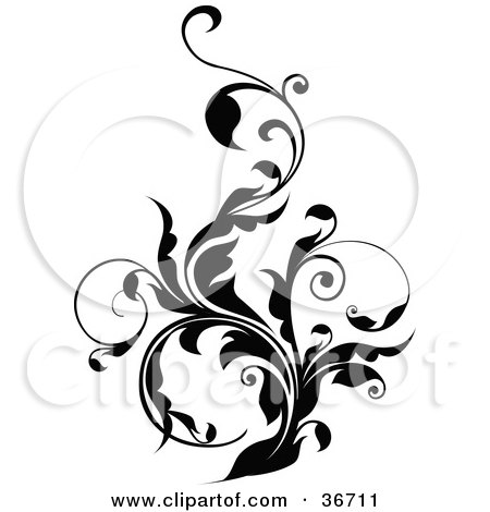 Clipart Illustration of a Thick Black Vine Flourish With Curly Tendrils by OnFocusMedia