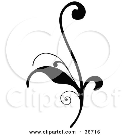 Clipart Illustration of a Delicate Black Silhouetted Elegant Leafy Scroll Design by OnFocusMedia