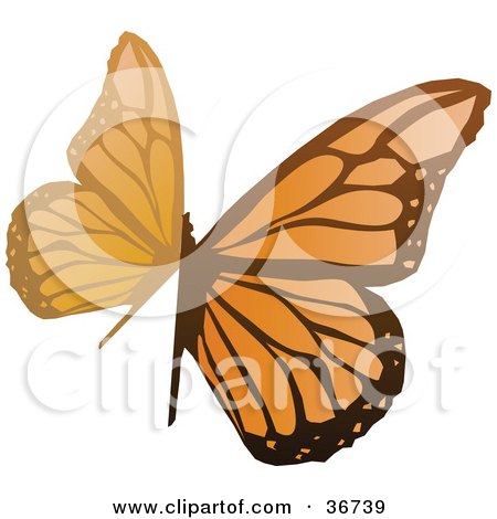 Clipart Illustration of an Abstract Orange Butterfly by OnFocusMedia