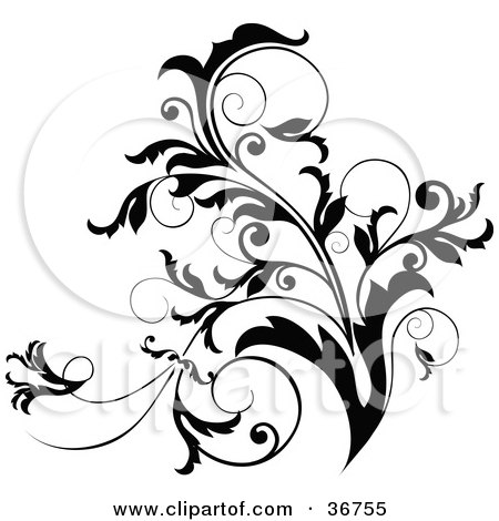 Clipart Illustration of a Black And White Curly Plant Flourish Design Accent by OnFocusMedia