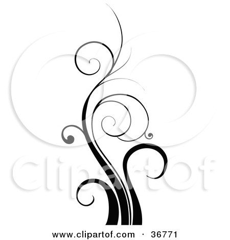 Clipart Illustration of a Tall Black Design Element Of Curling Blades Of Grass by OnFocusMedia