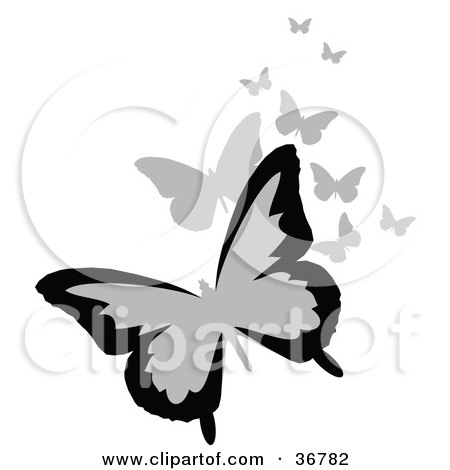 Clipart Illustration of a Group of Black and Gray Flying Butterflies by OnFocusMedia
